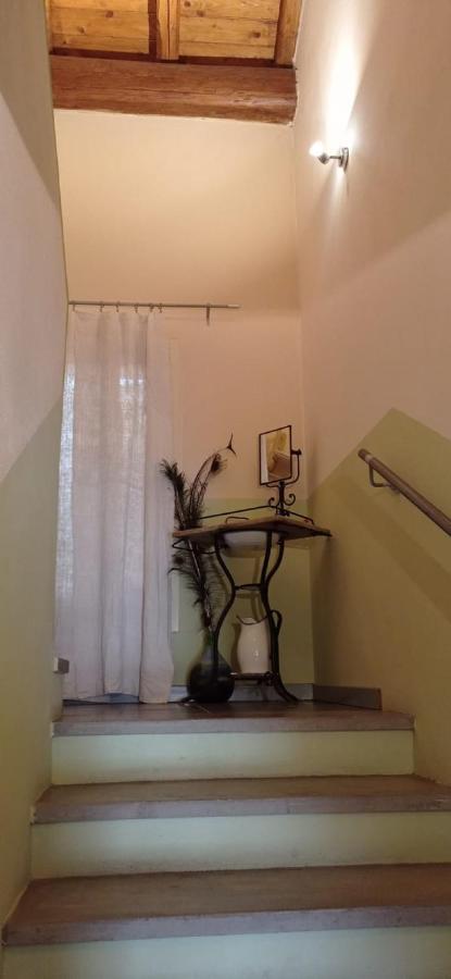 Agriturismo La Riccardina 부드리오 외부 사진