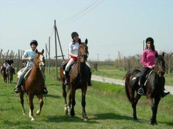 Agriturismo La Riccardina 부드리오 외부 사진